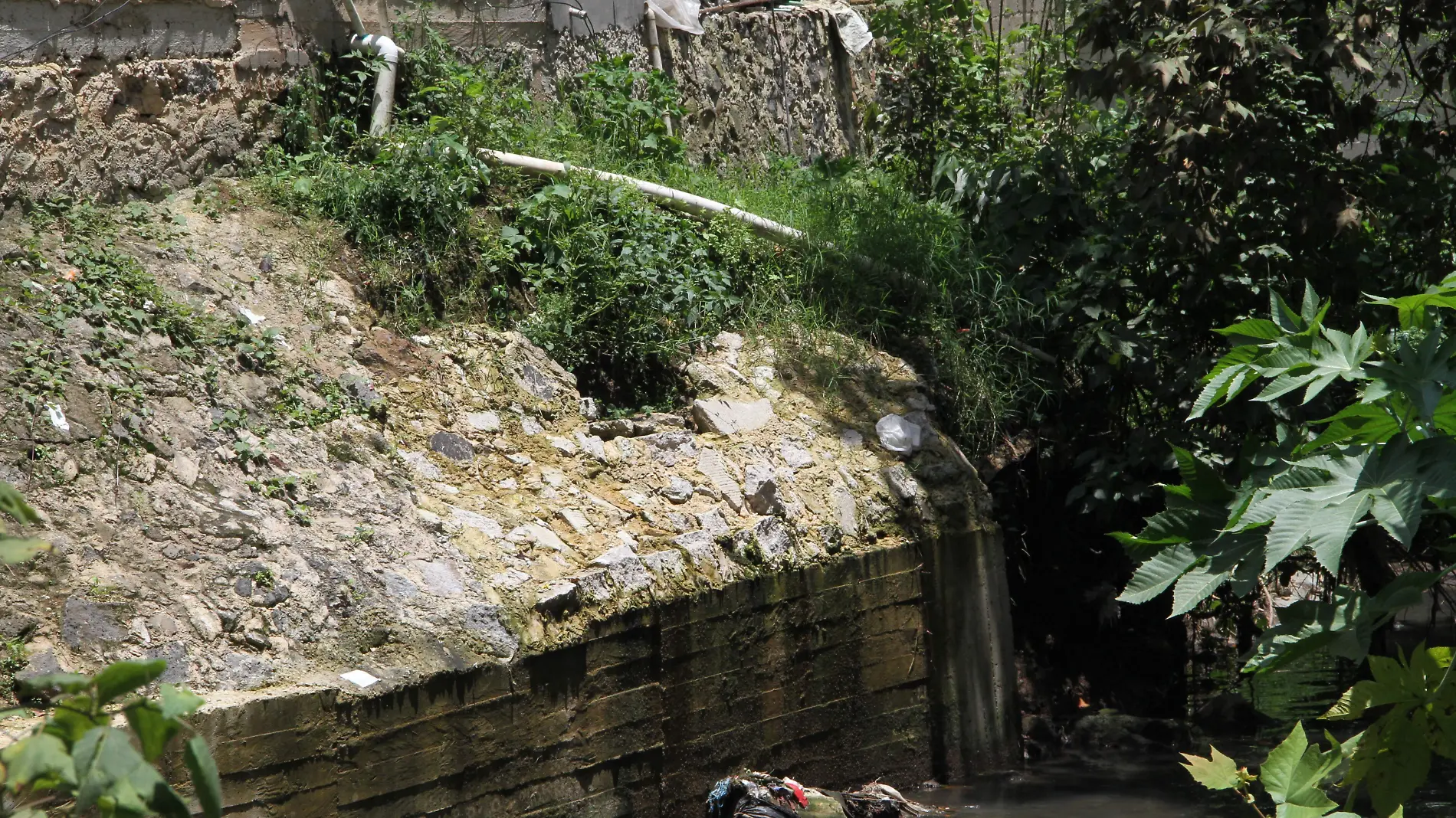 Contaminación en el río Sedeño